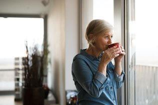 Imagem ilustrativa do artigo Reposição hormonal natural: 8 opções para a menopausa