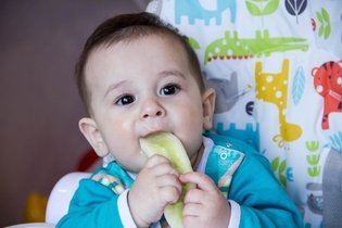Imagem ilustrativa do artigo Alimentação do bebê: 0 aos 12 meses