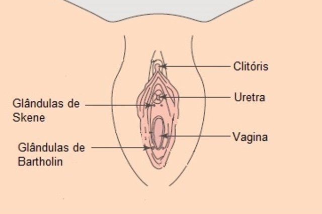 cancer uretra feminina