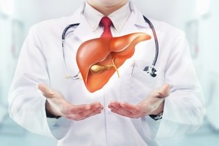 11 Funciones del hígado y sus principales enfermedades