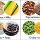 Proteína vegetal: como enriquecer a dieta vegetariana ou vegana
