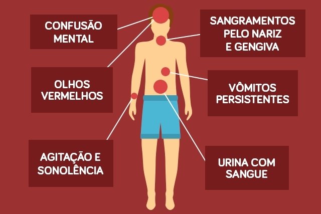 Sintomas de dengue clássica e hemorrágica - Tua Saúde