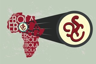 Imagen ilustrativa del artículo Virus del Ébola: síntomas, cómo se transmite, tipos y tratamiento