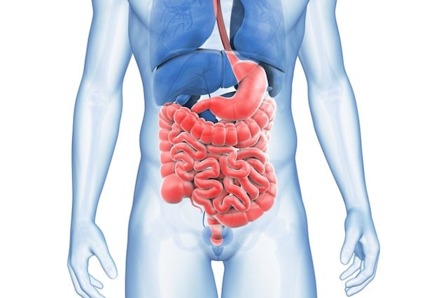 Enteritis Qu Es S Ntomas Y Tratamiento Tua Sa De