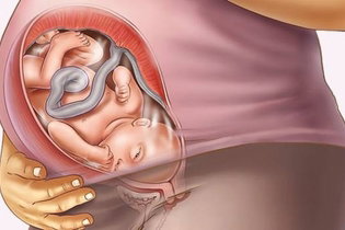 39 Semanas De Embarazo Desarrollo Del Bebe Y Cambios En La Mujer Tua Saude