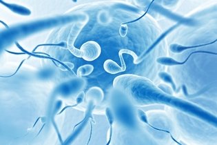 Alergia ao esperma (sêmen): sintomas e como tratar
