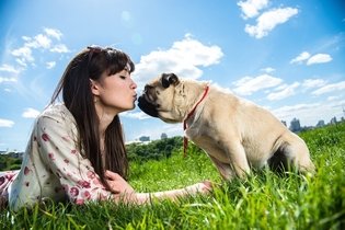 6 doenças que podem ser transmitidas pelos cachorros
