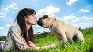 7 Enfermedades que transmiten los perros (y qué hacer)