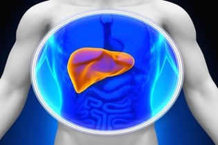 11 Symptoms of Liver Disease (You Should Not Ignore)