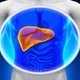 11 sintomas de problema no fígado