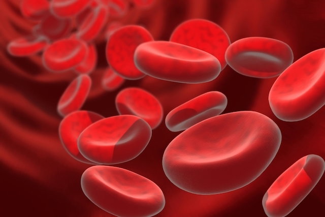 anemia hemolítica autoimune o que é sintomas causas e tratamento