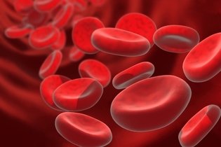 Anemia hemolítica autoimune: o que é, sintomas, causas e tratamento