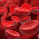 Anemia hemolítica autoimune: o que é, sintomas, causas e tratamento