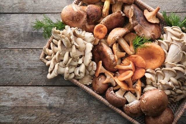 Shitake: Confira 5 benefícios de consumir o cogumelo e como