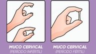 Cervical Mucus: During Ovulation, Stages & More
