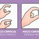Muco cervical: o que é e como varia ao longo do ciclo