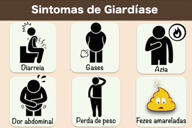 giardia sintomas em humanos