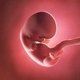 8 Semanas de embarazo: desarrollo del bebé y cambios en la mujer