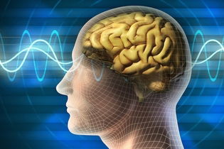 Imagem ilustrativa do artigo Magnésio melhora o funcionamento do cérebro