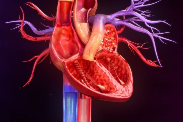 Imagem ilustrativa número 2
