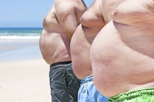 Gordura visceral: o que é, riscos, causas e como perder