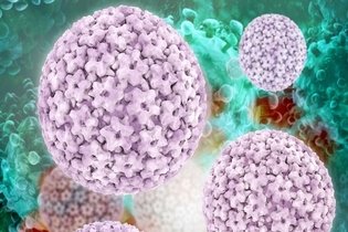 Imagen ilustrativa del artículo Cómo se contagia el VPH (y cómo se trata)