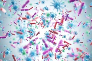 Imagen ilustrativa del artículo Microbioma: qué es y cómo se compone