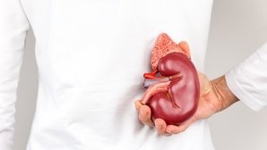 11 sintomas de problemas nos rins (com teste online)