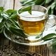 10 benefícios do chá verde para a saúde
