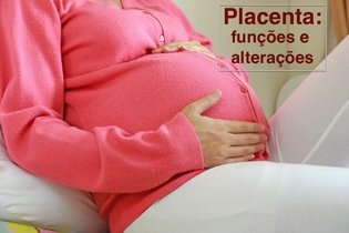 Imagem ilustrativa do artigo Placenta: o que é, funções e possíveis alterações