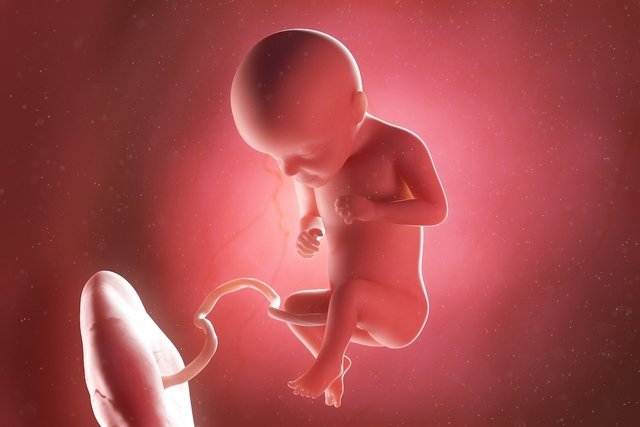 Imagen ilustrativa del artículo 29 semanas de embarazo: desarrollo del bebé y cambios en la mujer