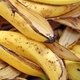 Casca da Banana é rica em Fibras e Cálcio