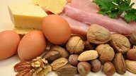 Principais alimentos ricos em proteínas