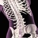 Como é feito o tratamento para osteoporose