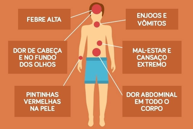 Dengue Tipo O Que Principais Sintomas E Tratamento Tua Sa De