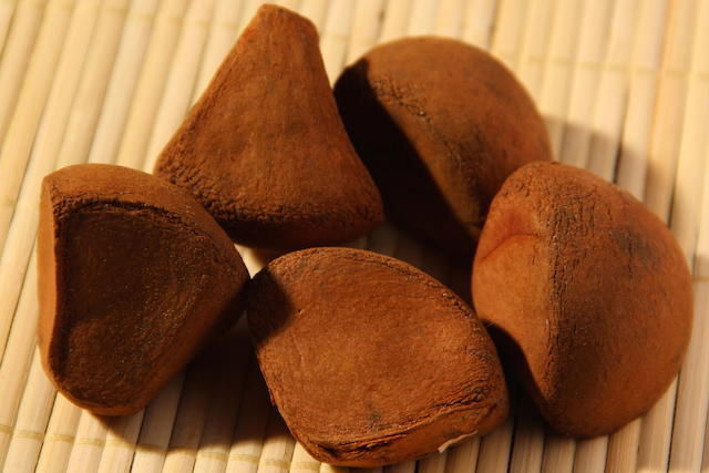 Sementes de andiroba