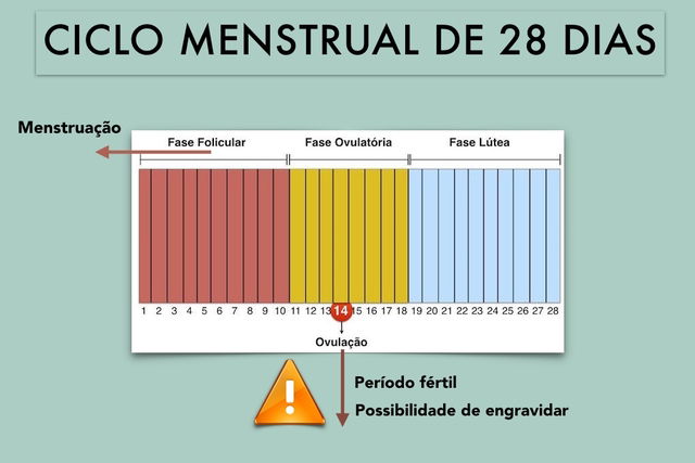 Como Funciona El Ciclo Menstrual Ciclo Menstrual Que Es Fases Y Duracion 8084