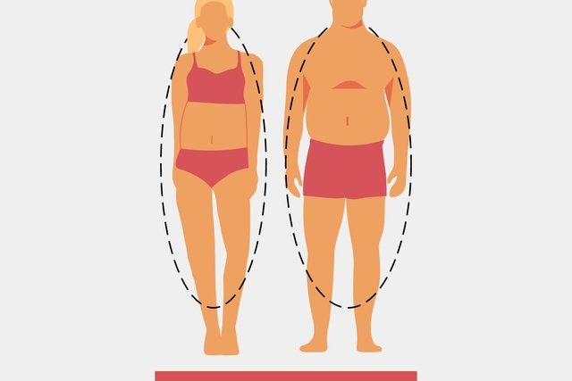 Illustrative image of the article Endomorph Body Type: Characteristics & Diet (w/ Meal Plans) 