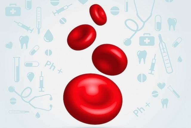 Principais Tipos De Anemia E Como Tratar Tua Saúde 6163
