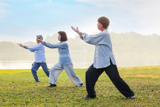 Segredos da Vida: Palestra sobre Tai Chi Chuan na USJT