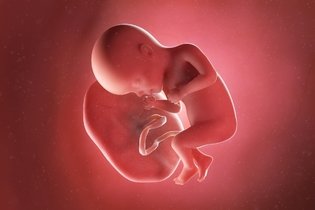 Imagen ilustrativa del artículo 27 semanas de embarazo: desarrollo del bebé y cambios en la mujer