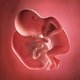 27 Semanas de embarazo: desarrollo del bebé y cambios en la mujer