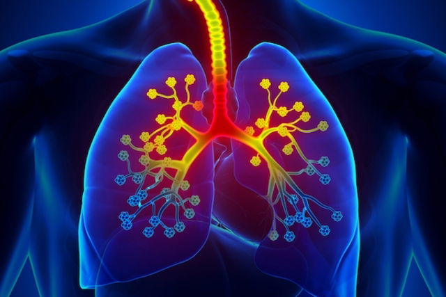 Enfisema pulmonar o que é sintomas causas e tratamento Tua Saúde