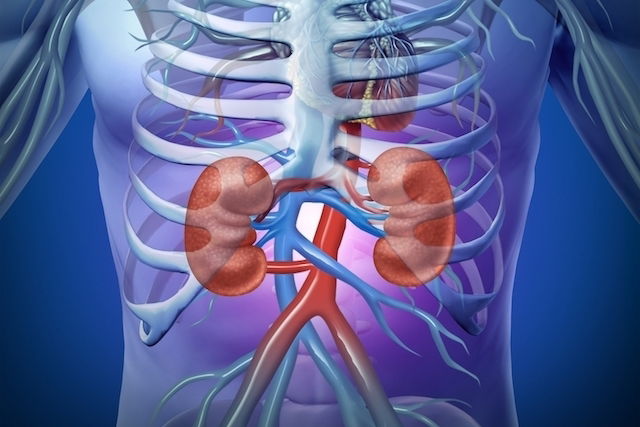 Entenda o que é insuficiência renal aguda e crônica, sintomas e tratamento