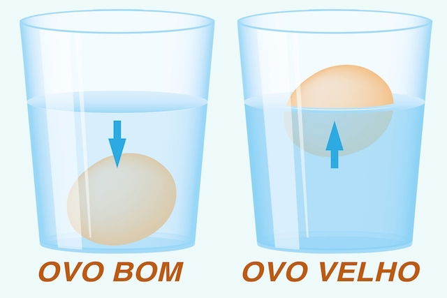 Comer ovo diariamente faz mal à saúde?