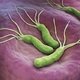 Helicobacter Pylori: síntomas, transmisión y tratamiento