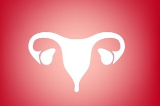 Imagen ilustrativa del artículo Puntos rojos en la vagina: 3 causas y qué hacer