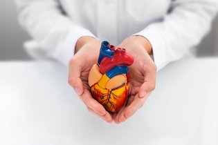 Imagen ilustrativa del artículo Cardiólogo: qué es, qué hace y qué enfermedades trata
