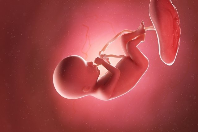Imagen ilustrativa del artículo 20 semanas de embarazo: desarrollo del bebé y cambios en la mujer