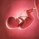 20 Semanas de embarazo: desarrollo del bebé y cambios en la mujer
